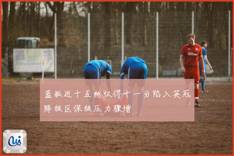 蓝狐近十五轮仅得十一分陷入英冠降级区保级压力骤增
