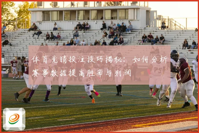 体育竞猜投注技巧揭秘：如何分析赛事数据提高胜率与利润