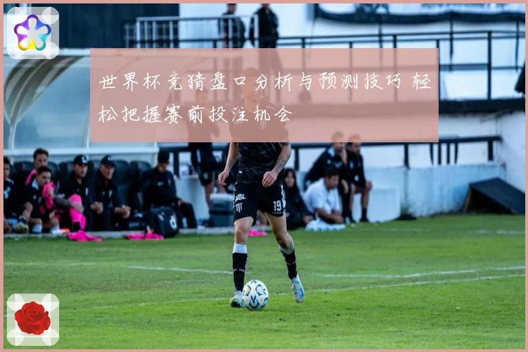 世界杯竞猜盘口分析与预测技巧 轻松把握赛前投注机会