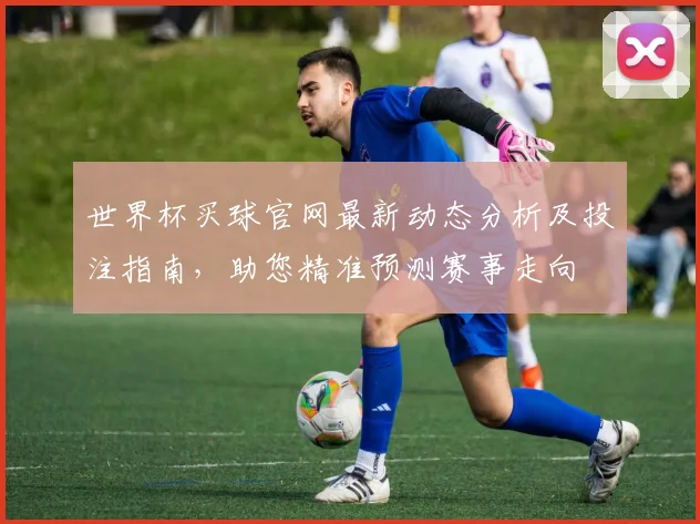 世界杯买球官网最新动态分析及投注指南，助您精准预测赛事走向