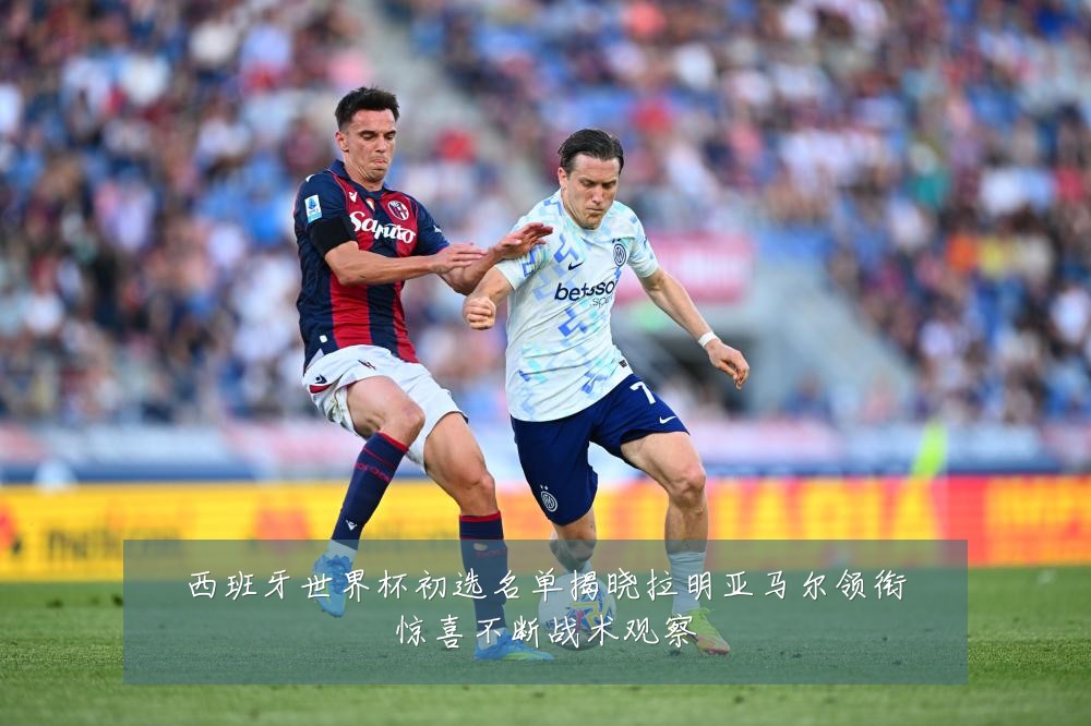 西班牙世界杯初选名单揭晓拉明亚马尔领衔惊喜不断战术观察